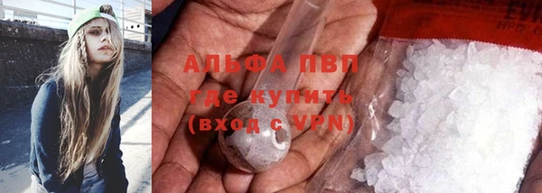 прущие грибы Няндома
