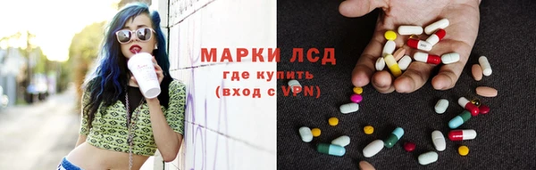 прущие грибы Няндома