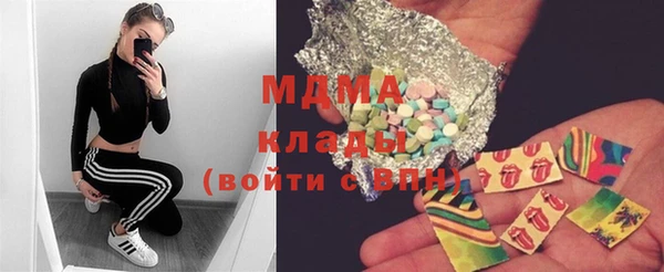 прущие грибы Няндома