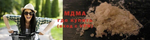 прущие грибы Няндома