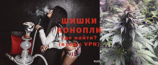 прущие грибы Няндома