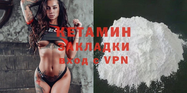 прущие грибы Няндома