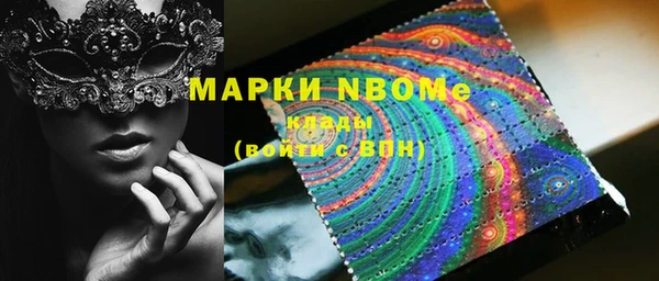прущие грибы Няндома