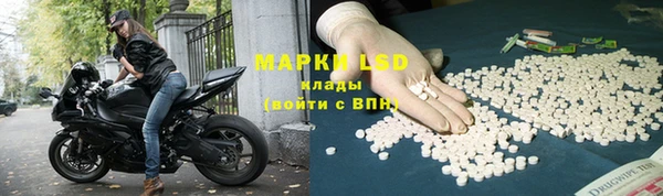 PSILOCYBIN Нязепетровск