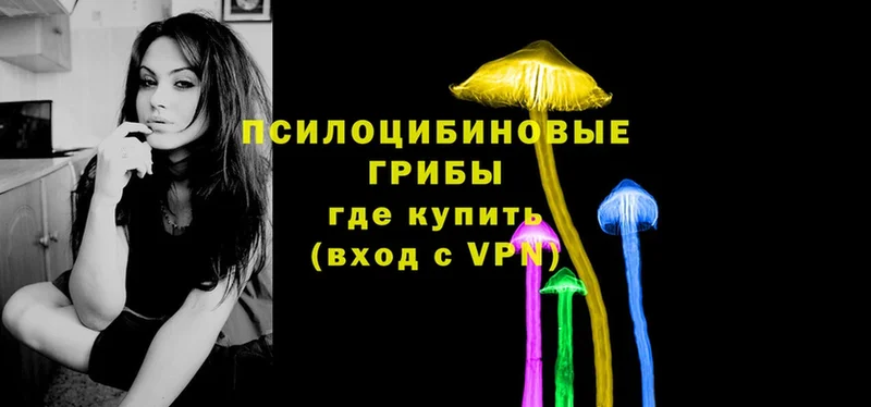 Псилоцибиновые грибы Psilocybe  кракен tor  Туймазы 