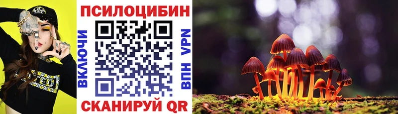 omg как войти  Туймазы  Псилоцибиновые грибы Psilocybe 