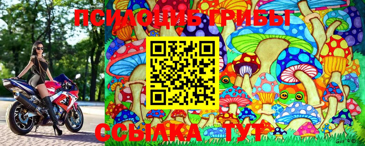 Псилоцибиновые грибы мицелий Туймазы