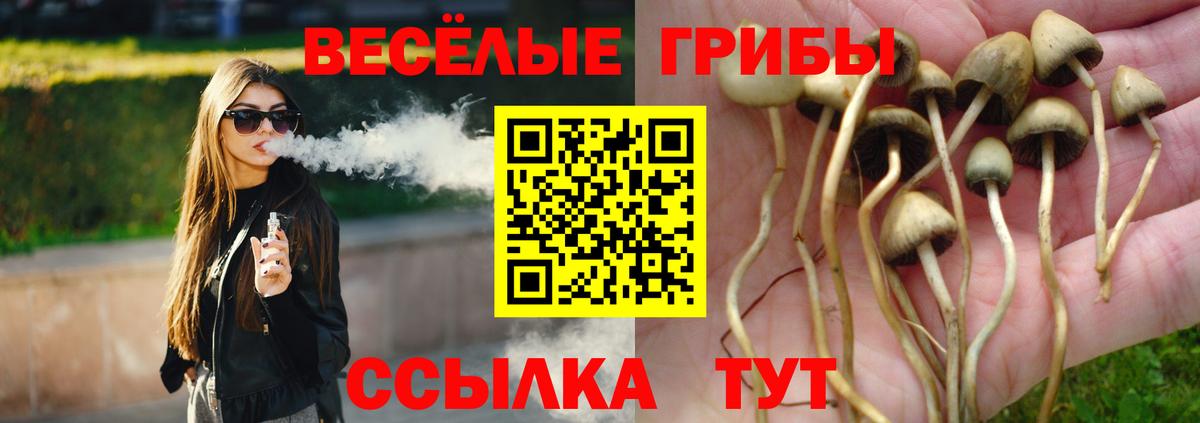 продажа наркотиков  Псилоцибиновые грибы MAGIC MUSHROOMS  Туймазы  Вход с VPN  Псилоцибиновые грибы Psilocybine cubensis 