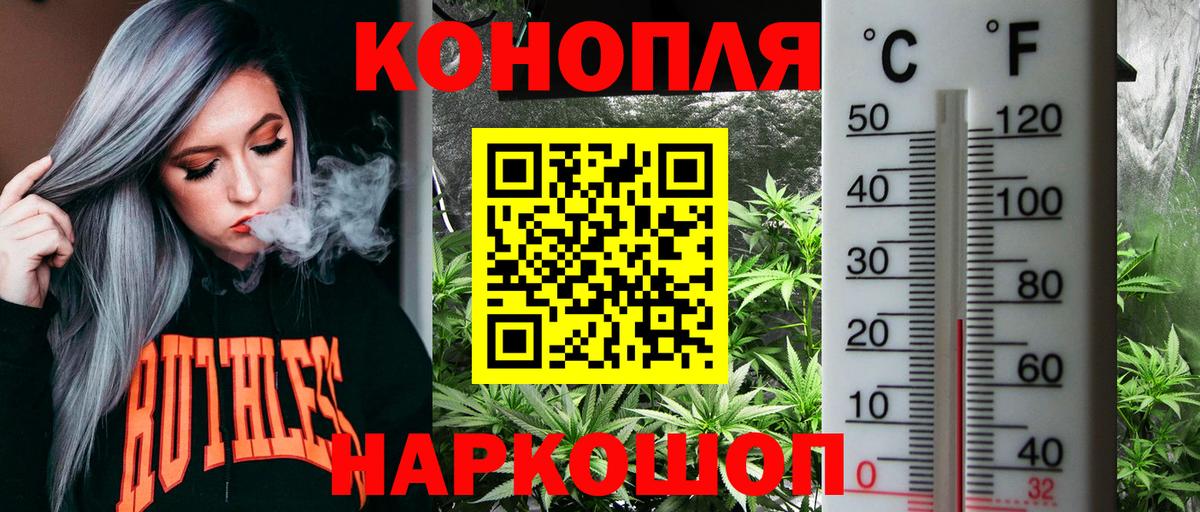 Марихуана планчик  Туймазы  Каннабис THC 21%  Марихуана Bruce Banner 